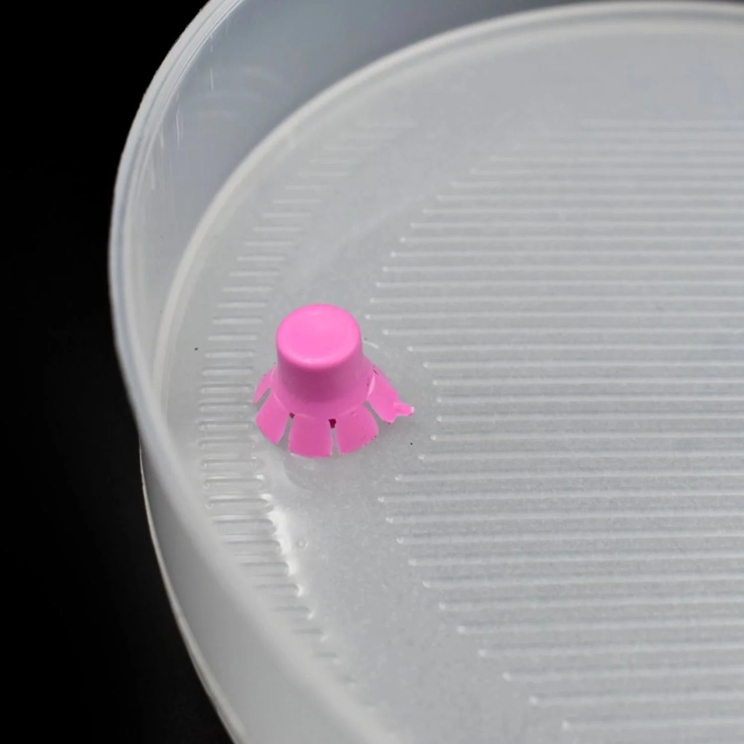 Sprout Maker 4 Layer for Household and Kitchen Use - Image 12