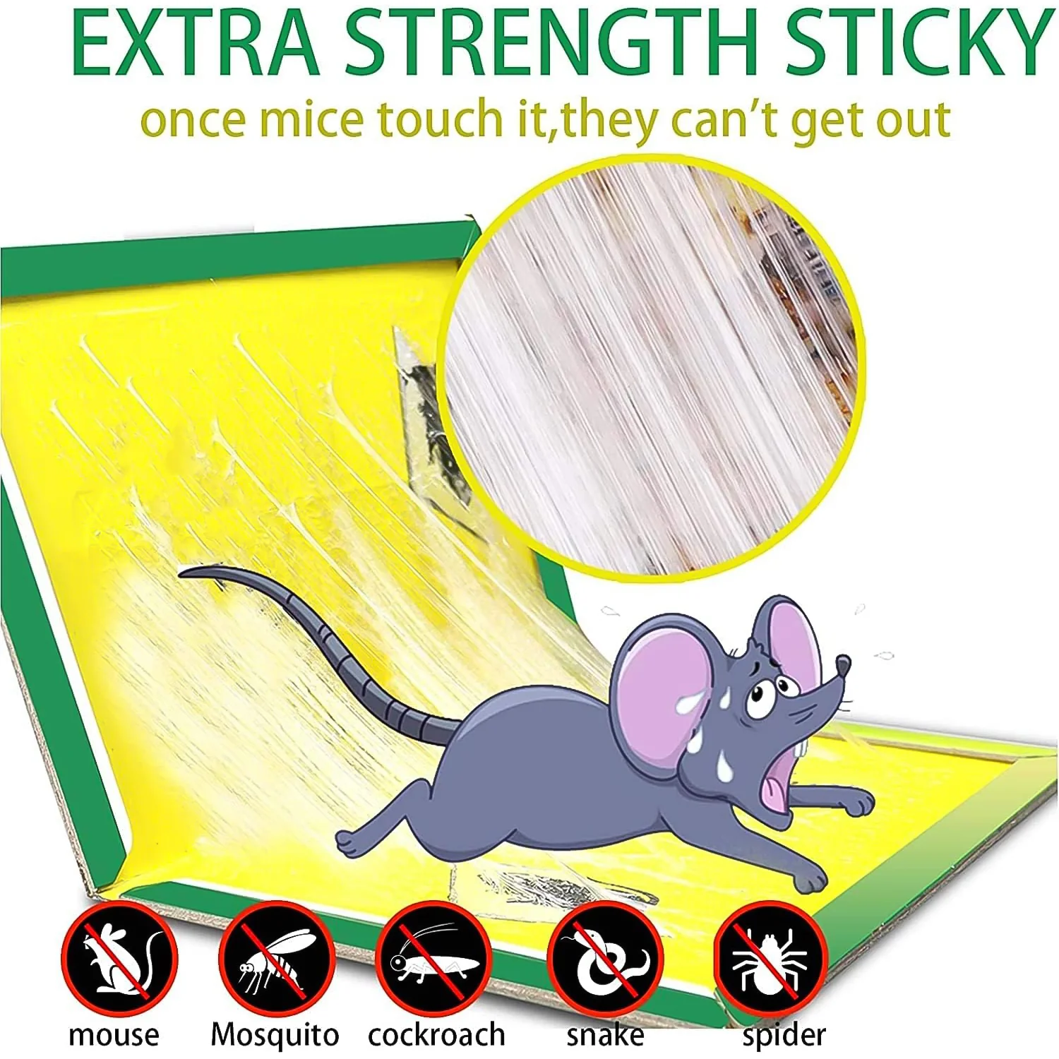 PCI Cardboard Troublegum Small Size Mouse Trap-1pc - Image 6