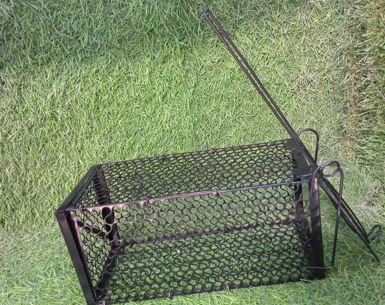 Live Mouse Trap – Easy Catch & Release Cage Mice, Squirrels, Voles & Hamsters - Image 6