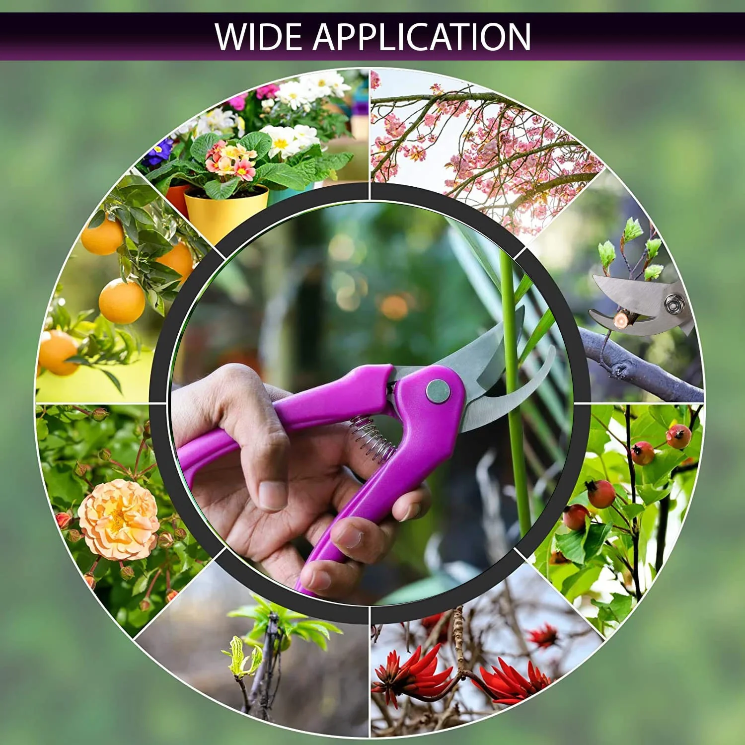Stainless Steel Garden Scissors, flower cutter - Image 7
