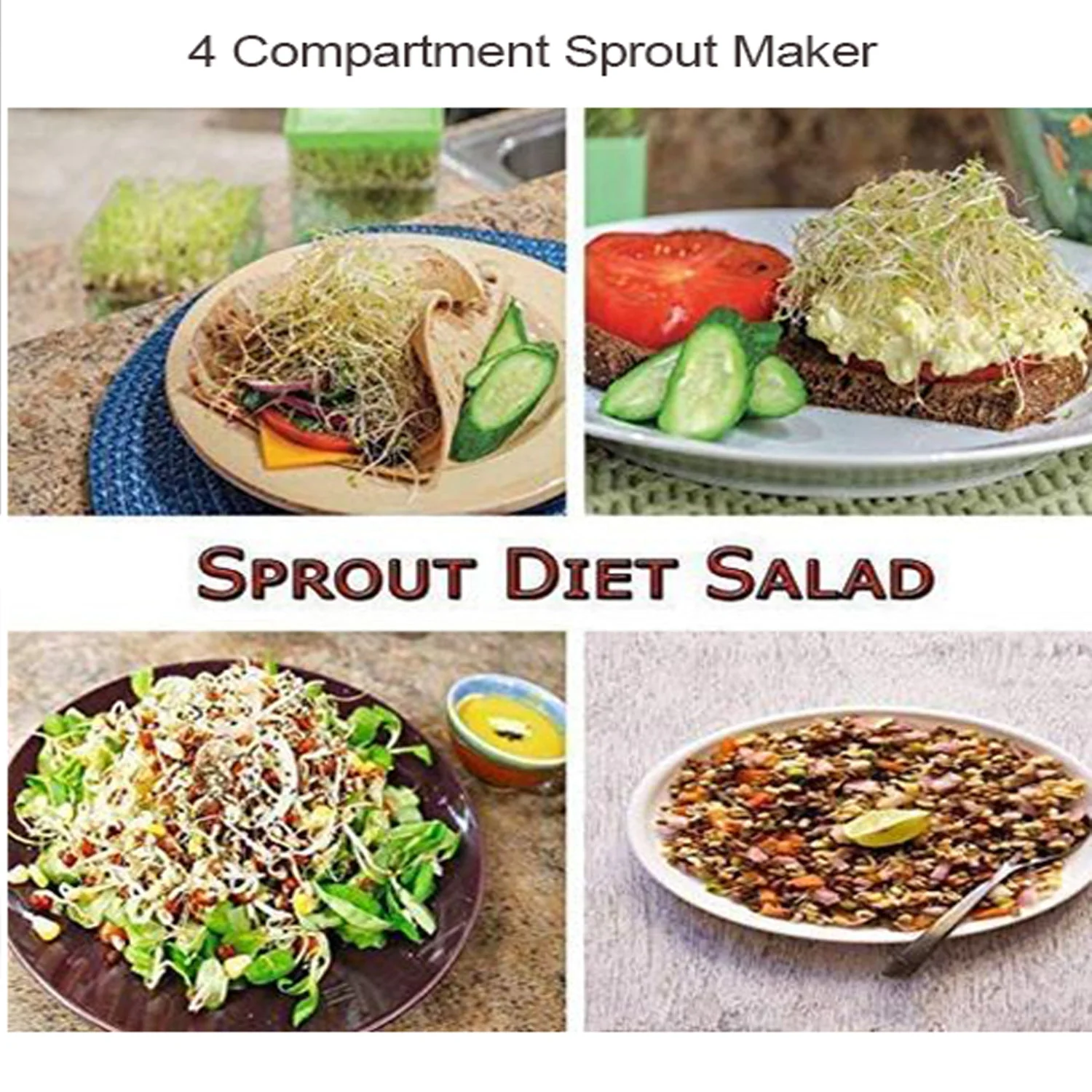 Plastic 4 Compartment Sprout Maker, White - Image 3