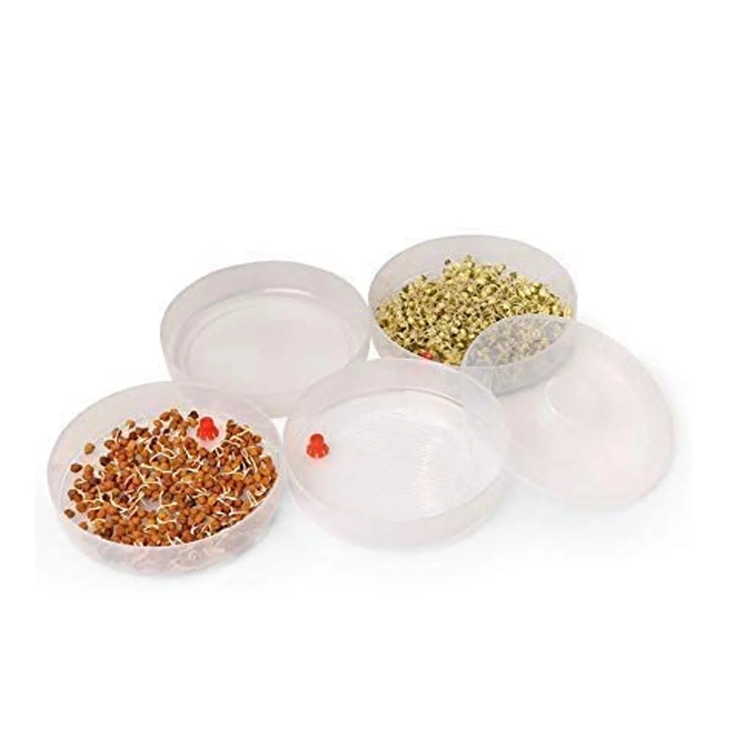 Plastic 4 Compartment Sprout Maker, White - Image 7