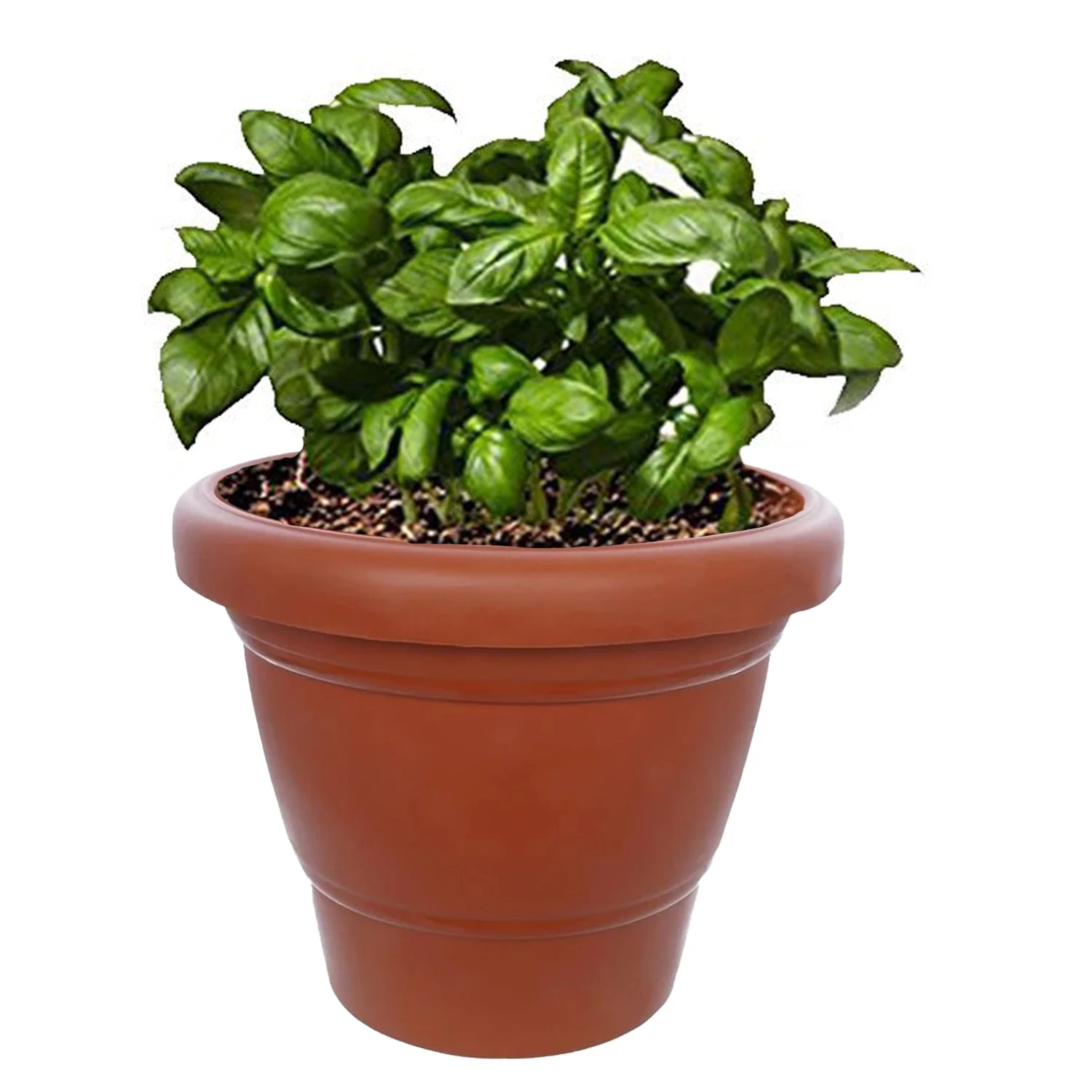 Garden Heavy Plastic Planter Pot / Gamla 6 inch (Brown, Pack of 1, Small) - Image 4