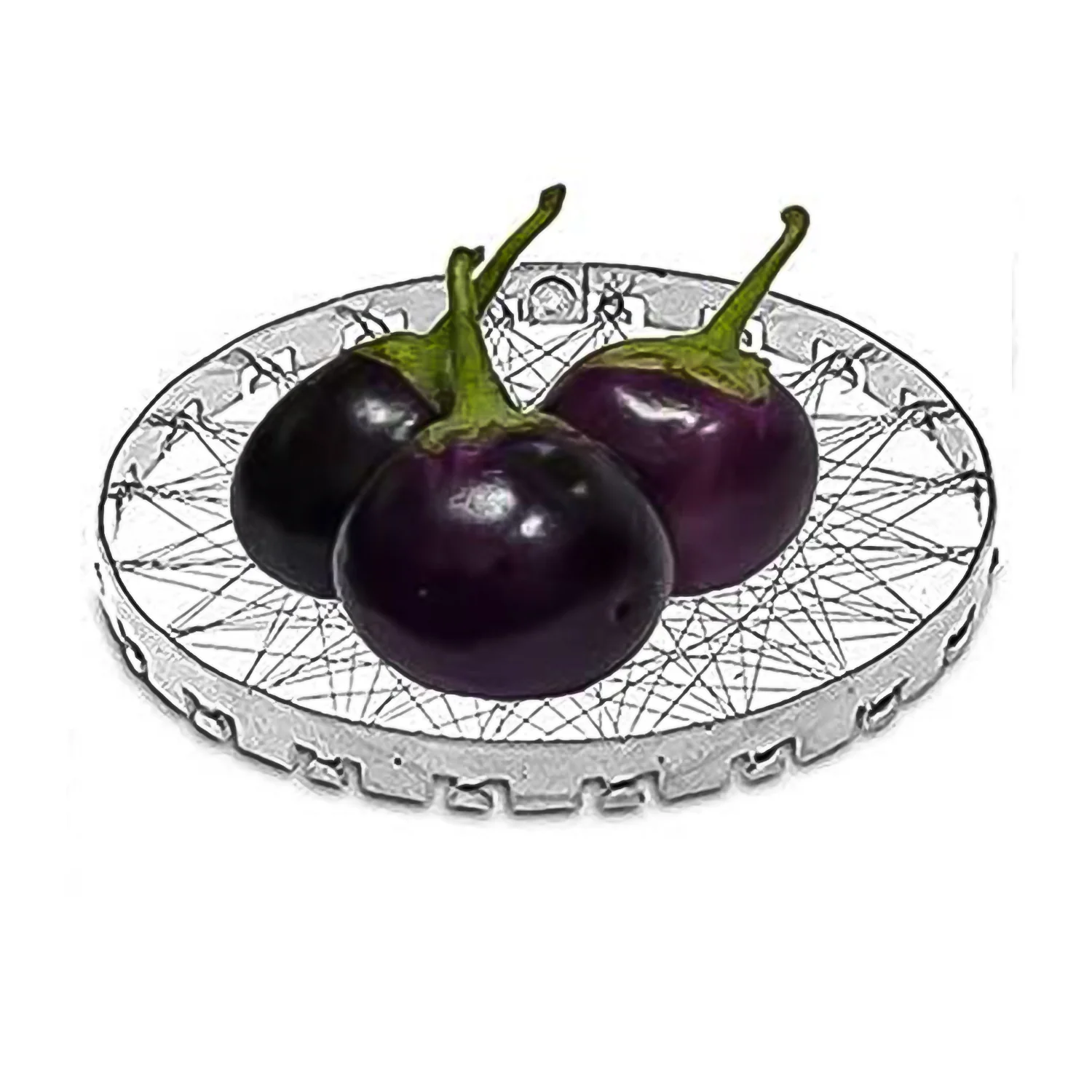 Stainless Steel Grill Jalli, Chota Tandoor - Image 5