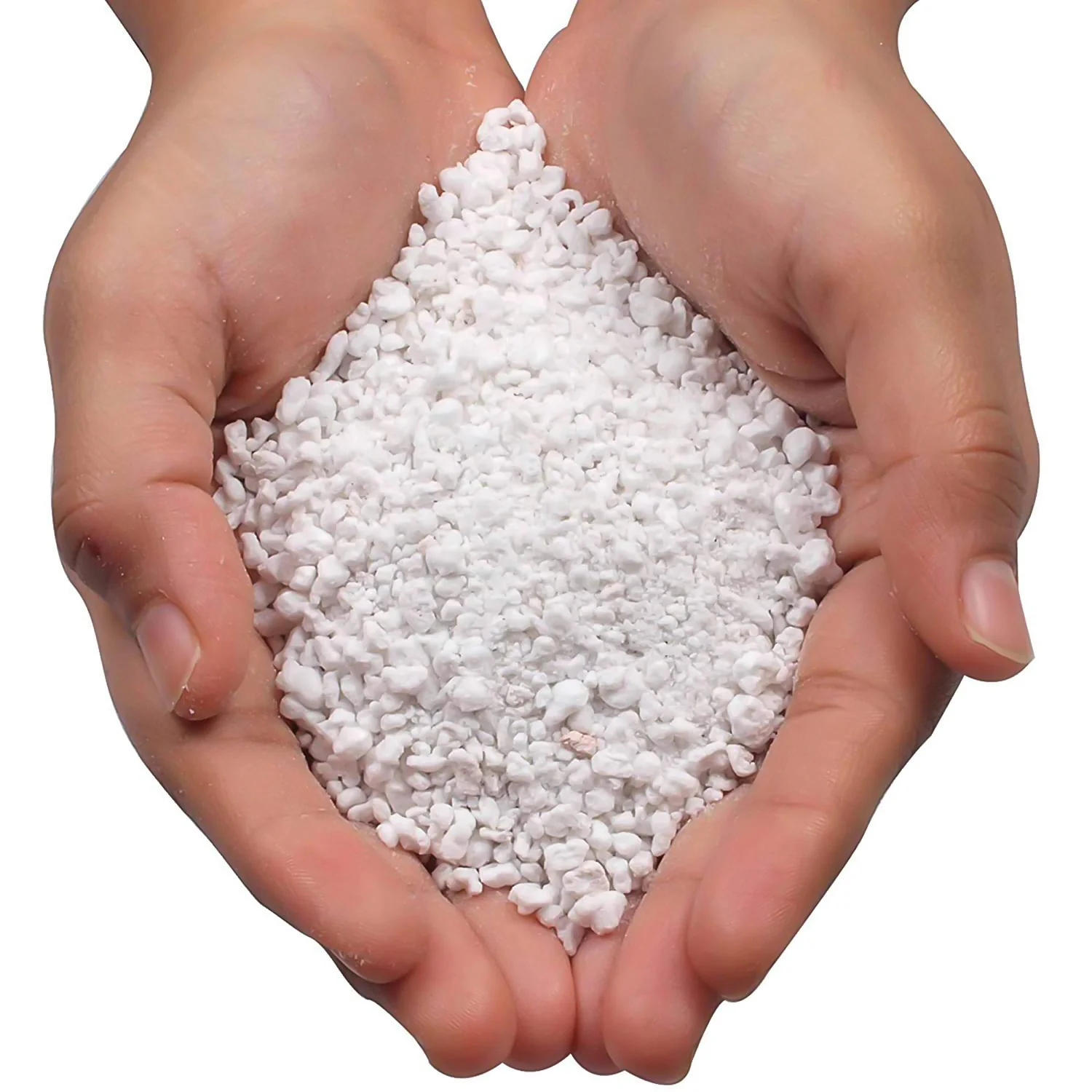 Paradise Perlite for Hydroponics & Horticulture Soil Conditioner (250 GM) - Image 2
