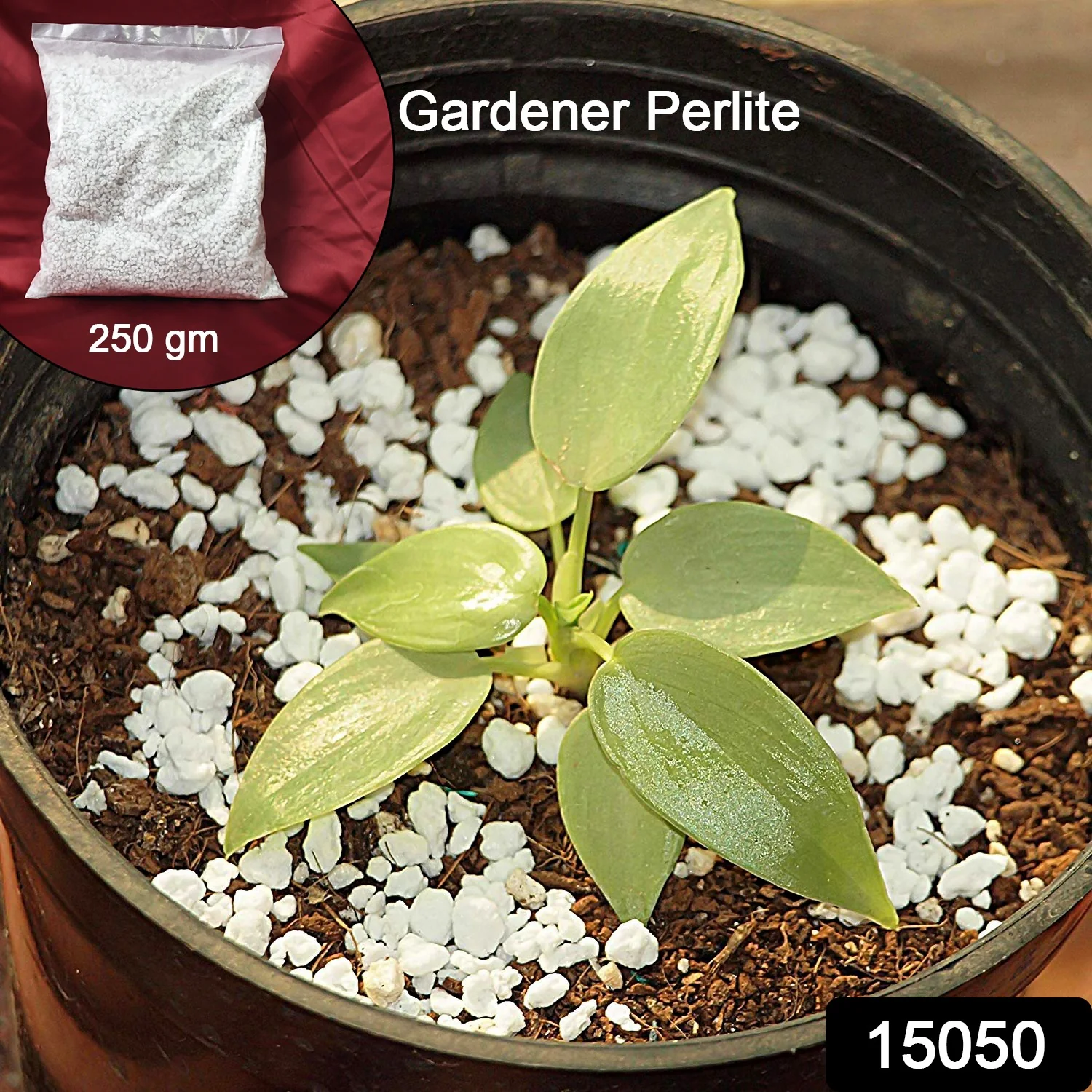 Paradise Perlite for Hydroponics & Horticulture Soil Conditioner (250 GM) - Image 4