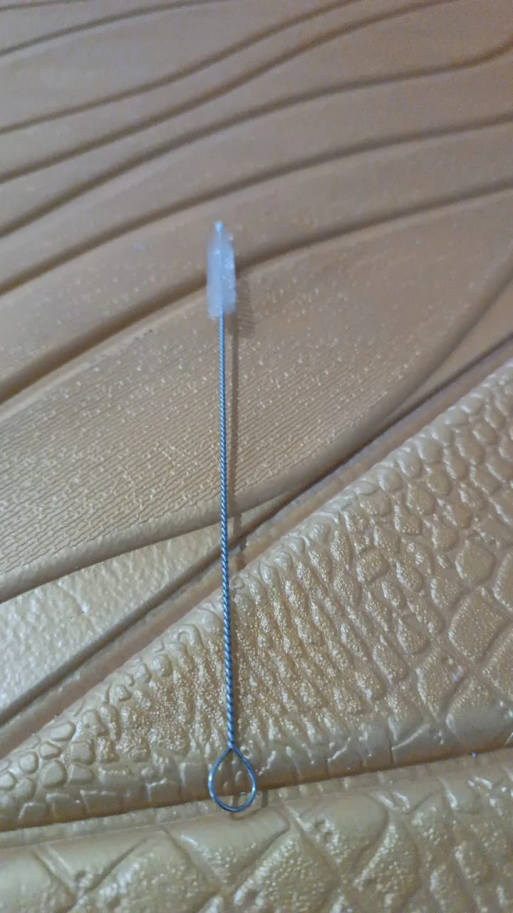 Stainless Steel Straw Cleaning Brush Drinking Pipe (20 Cm / 1 Pc) - Image 11