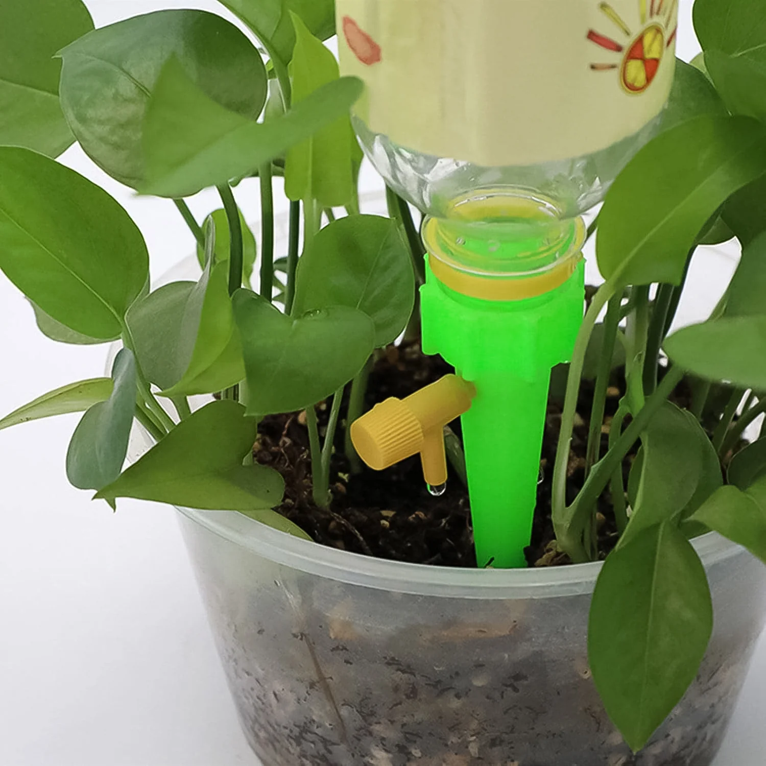 Green Plant Watering Spikes self Watering Spikes (1 Pc) - Image 6