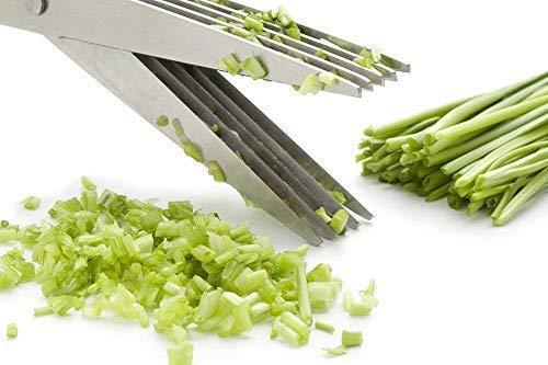 Stainless Steel 5-Blade Herb Scissors - Image 8