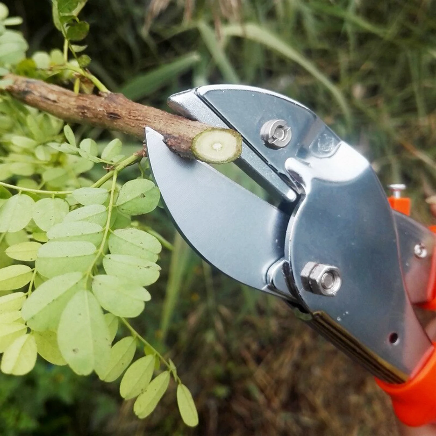 PROFESSIONAL GARDEN SCISSOR WITH SHARP BLADE COMFORTABLE HANDLE (18CM) - Image 3