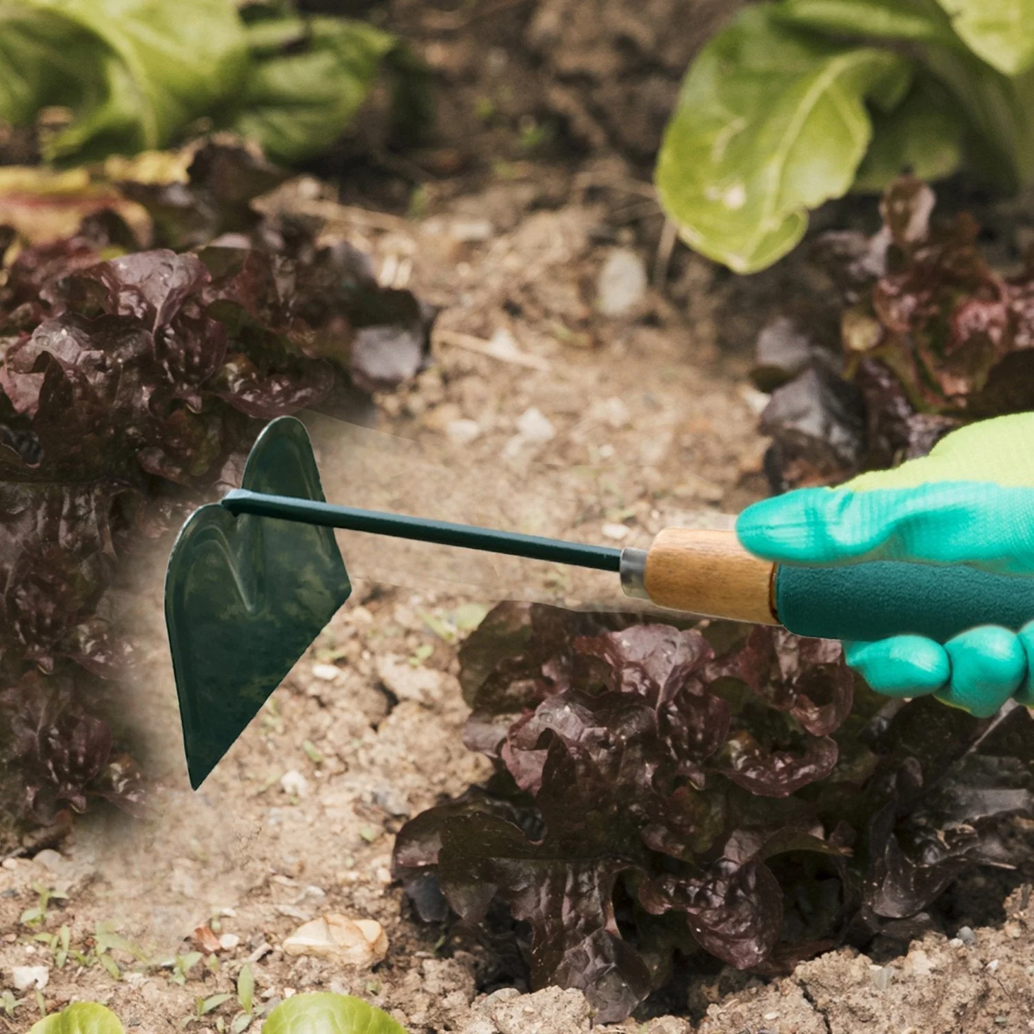 Gardening Hoe Tool with Handle - Image 3