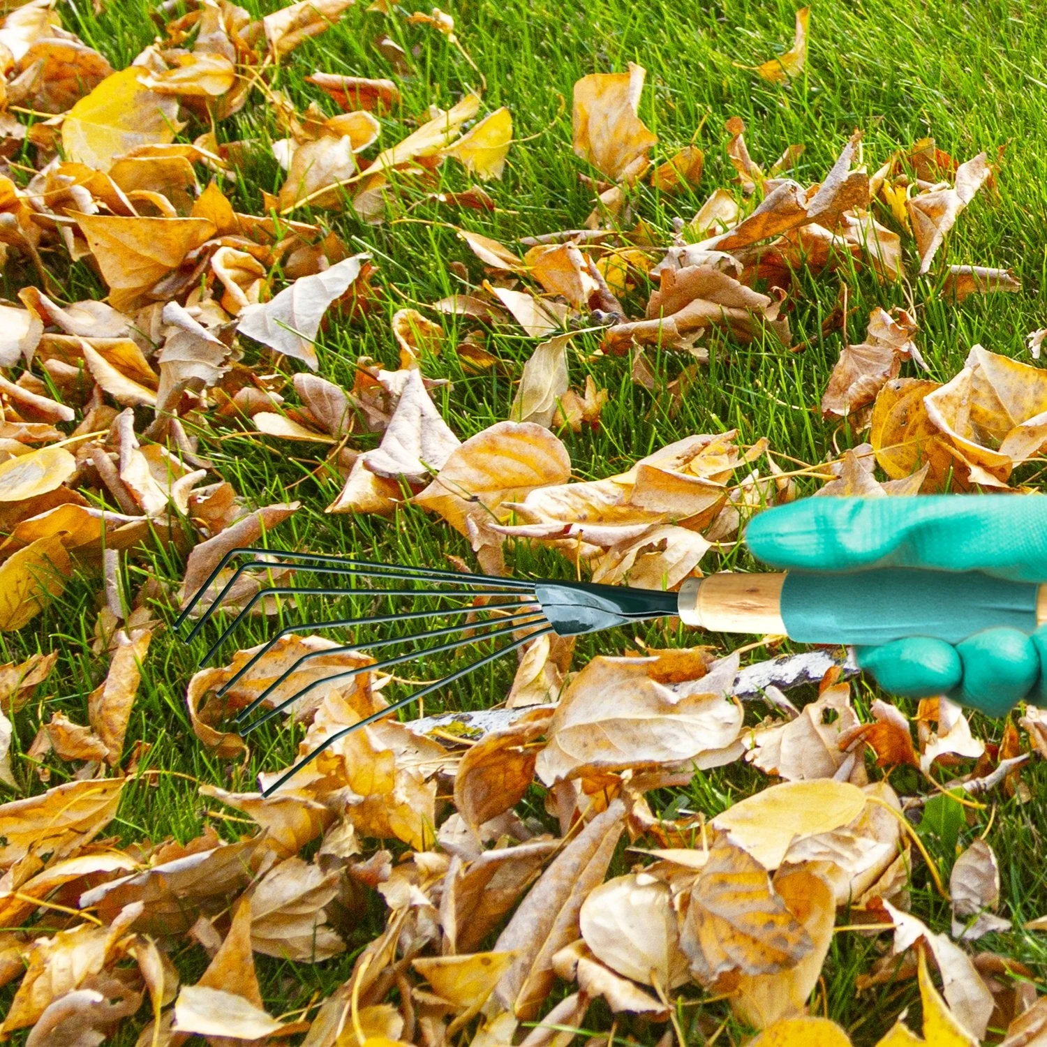Stainless Steel Tooth Garden Leaf Rake - Image 3