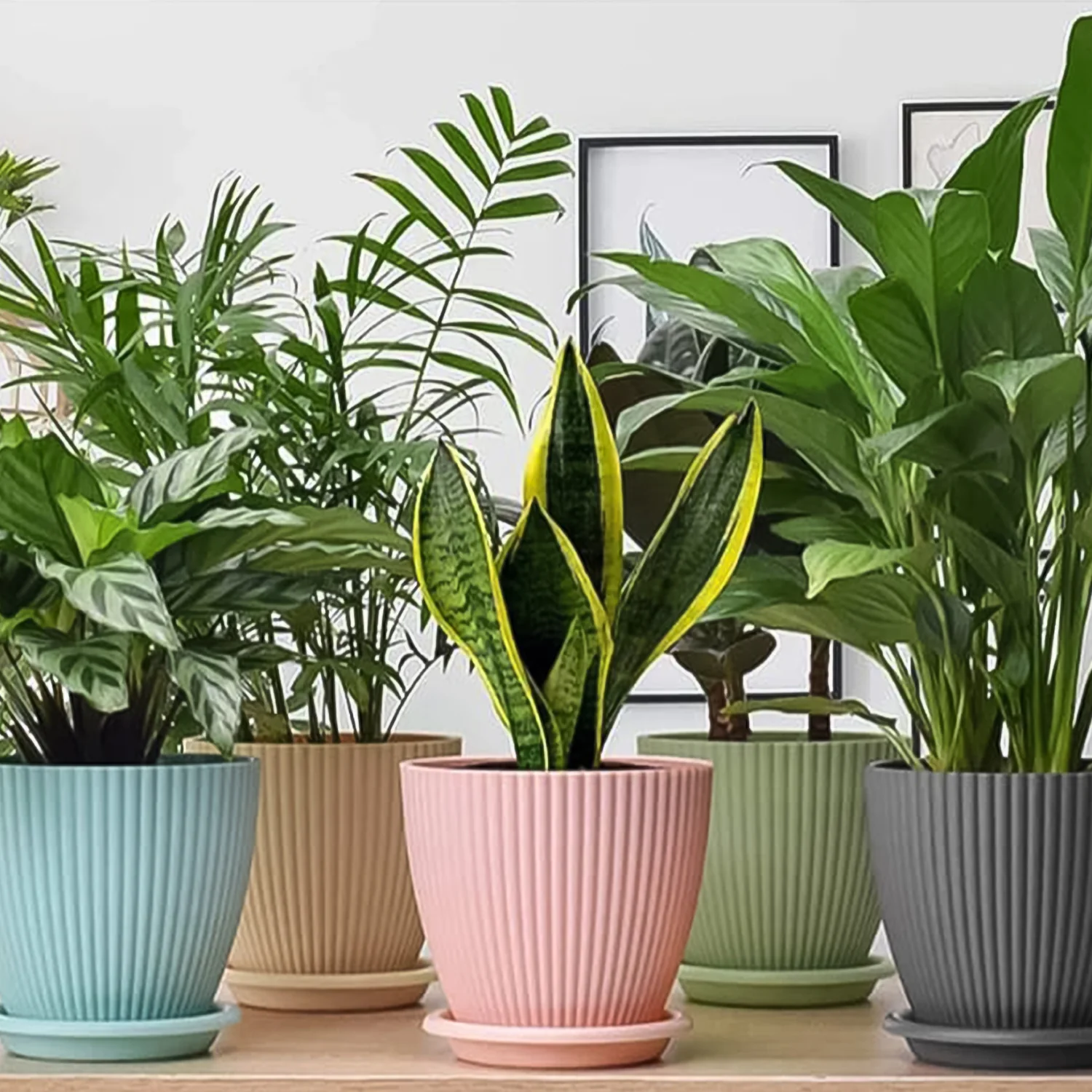 Plastic Flower Pot with Bottom Tray (5 Pcs Set) - Image 6