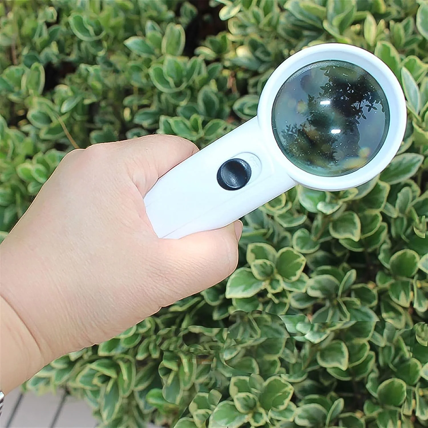 Hand-Held Magnifier with Dual LED Lights (1 Pc / 37MM / Battery not included) - Image 6