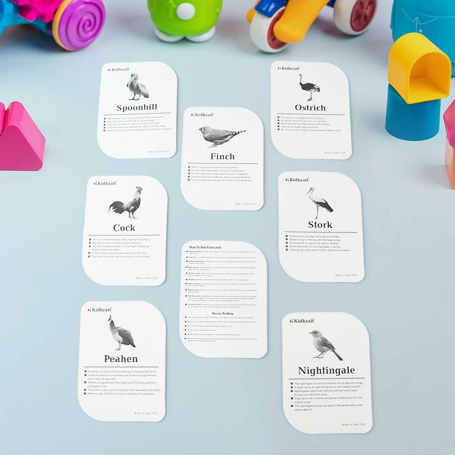 KidKraft Early Learner Educational Flashcards – 32 Birds - Image 4