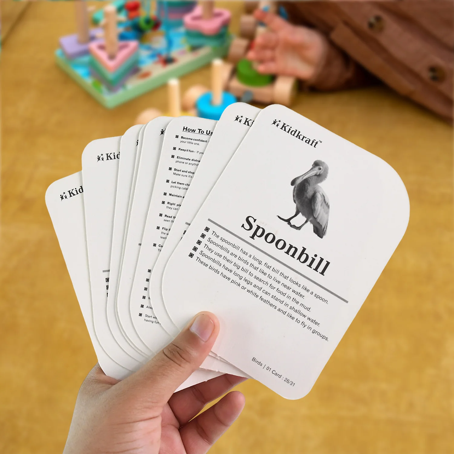 KidKraft Early Learner Educational Flashcards – 32 Birds - Image 5
