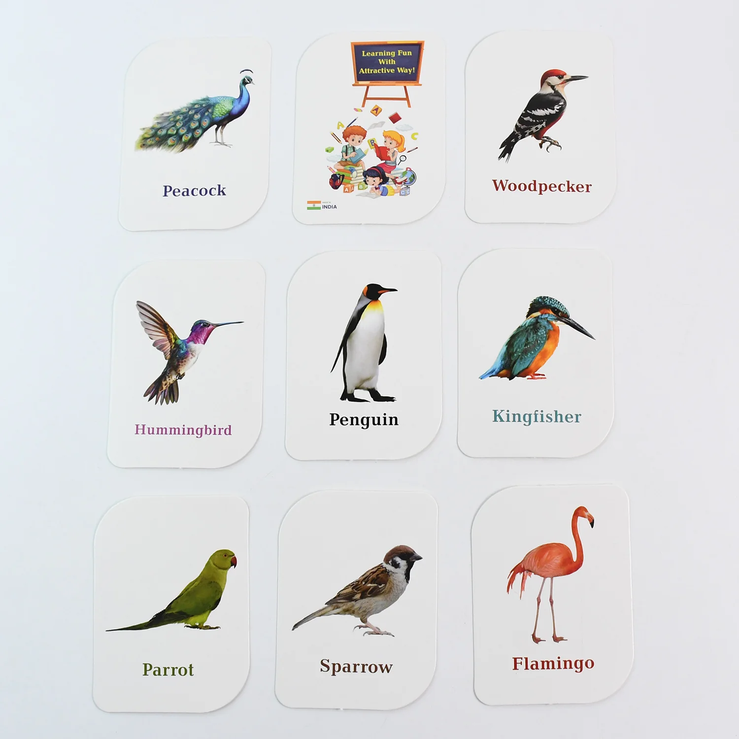 KidKraft Early Learner Educational Flashcards – 32 Birds - Image 6