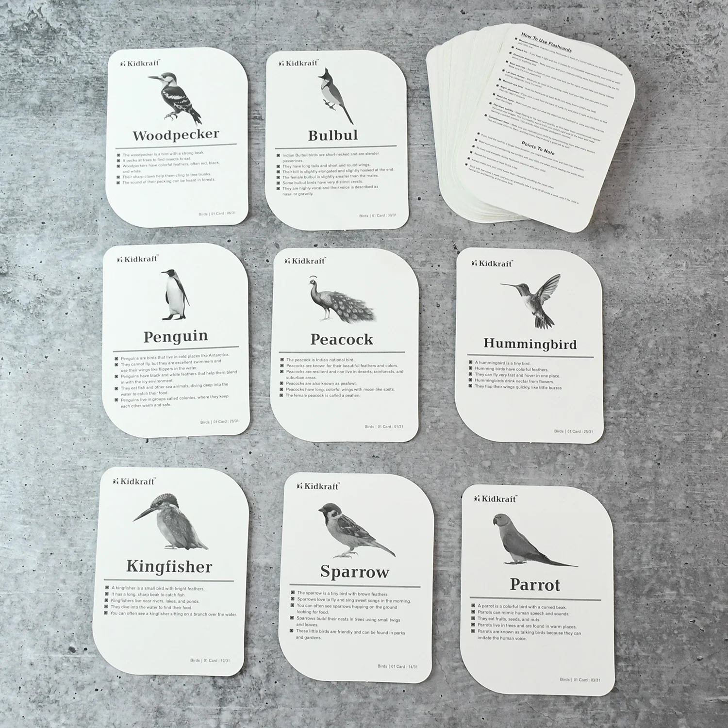 KidKraft Early Learner Educational Flashcards – 32 Birds - Image 7