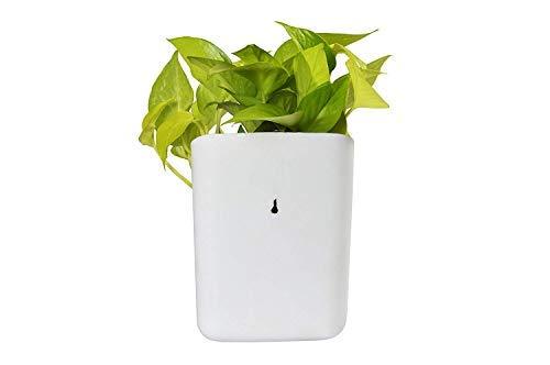 Plastic Vertical Hanging Planter Pot, Multicolour, - Image 4