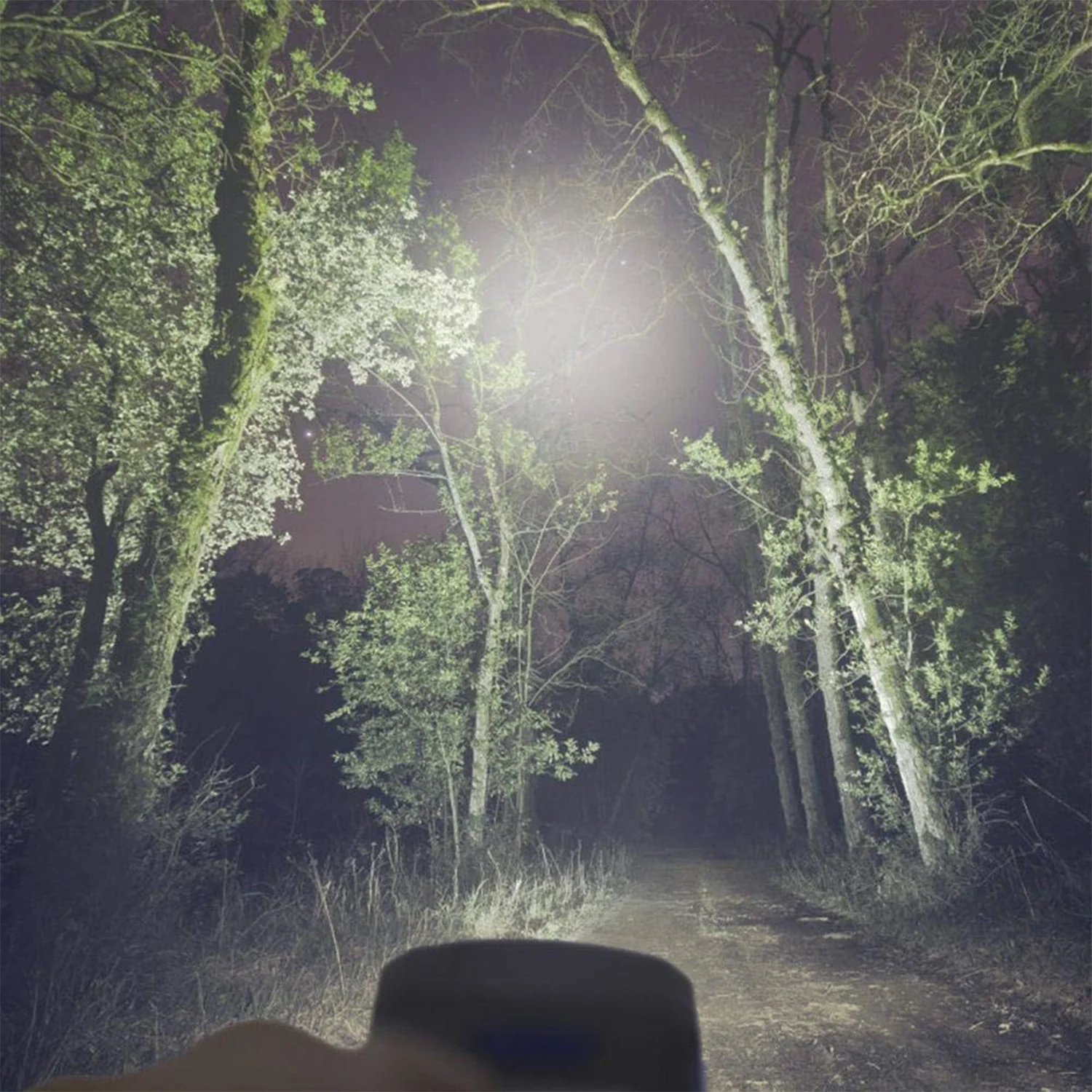3W COB LED Work Light (1 Pc) - Image 3