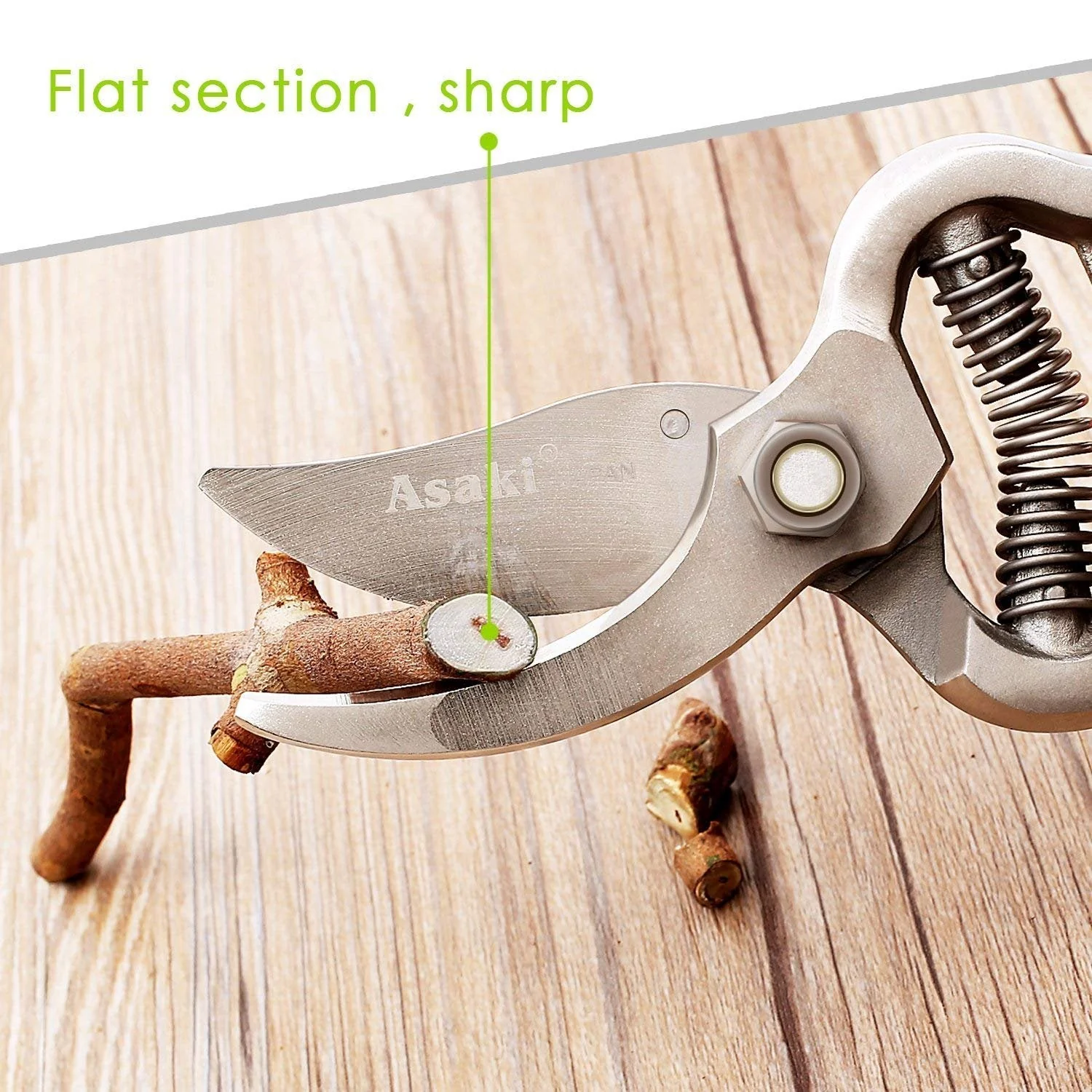 Garden Shears Pruners Scissor, flower cutter (8 inch) - Image 8