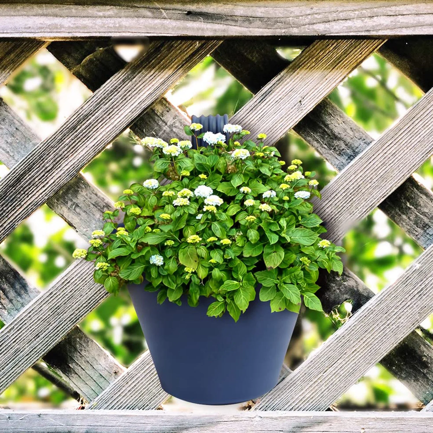Hanging Planter Pot used for storing and holding plants - Image 9