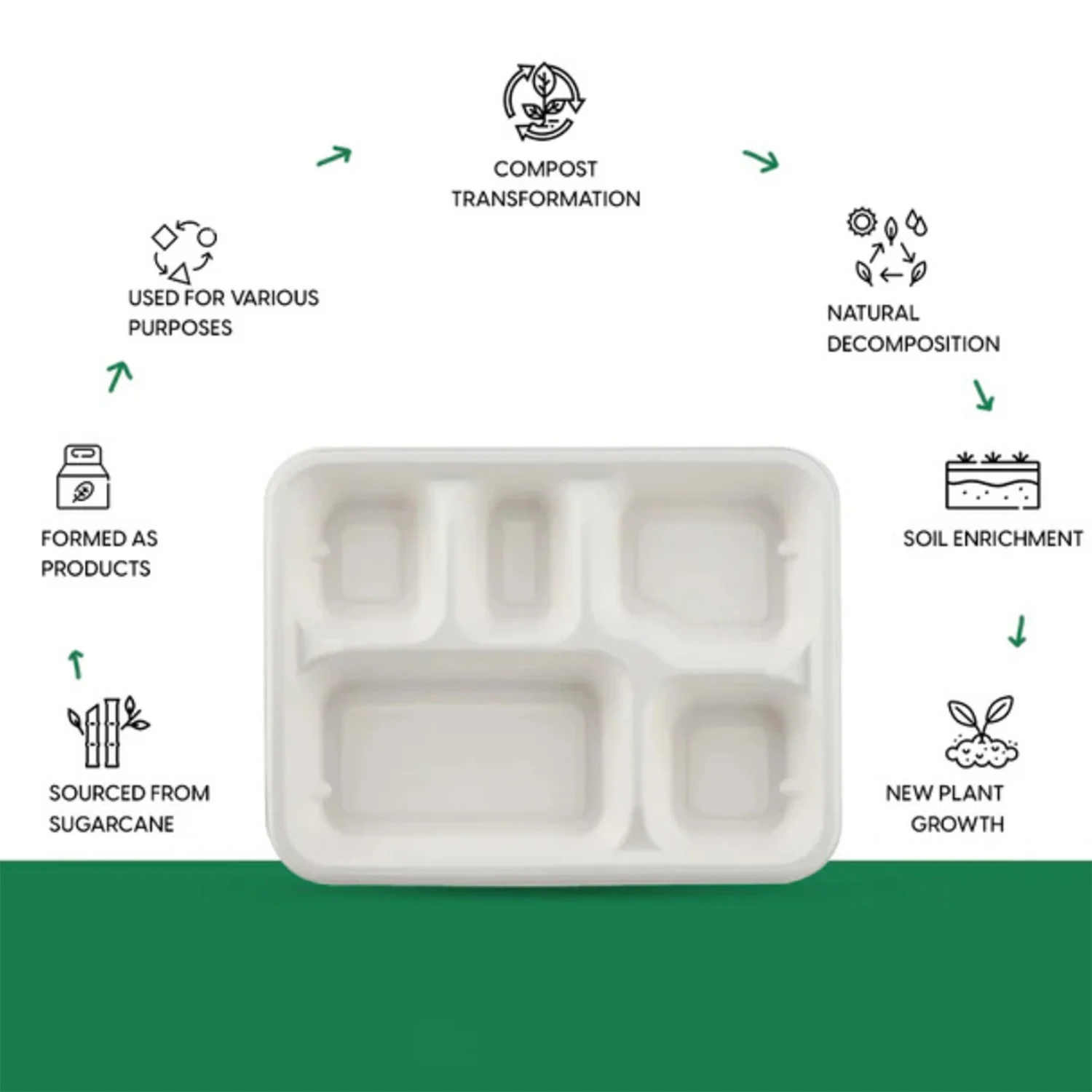 5-Compartment Rectangle Lunch Compostable Bagasse Plate – 10 Pcs Pack - Image 7