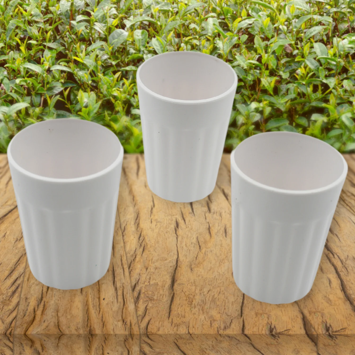 Small Plastic Coffee / Tea Cups Reusable Plastic Cup Mug(3 Pcs Set) - Image 6