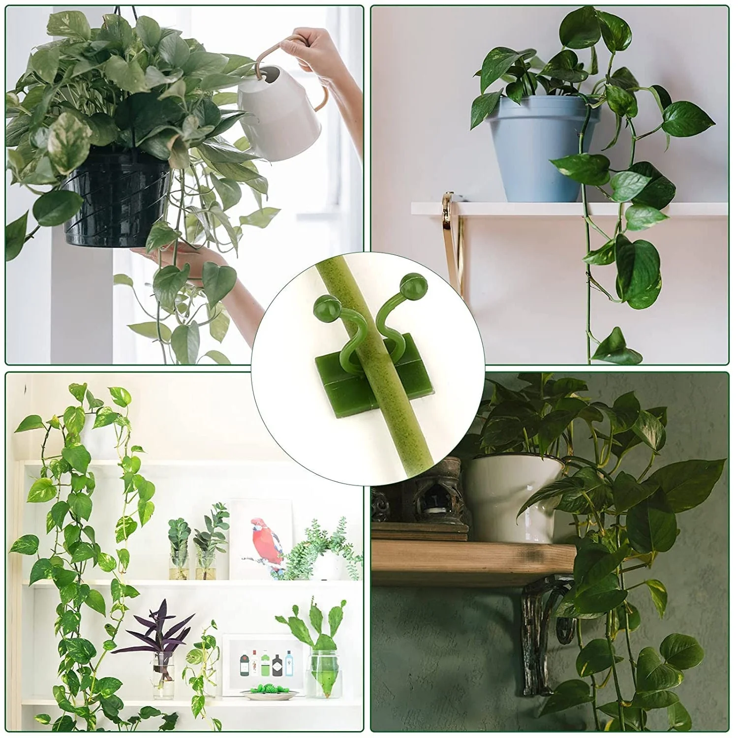 30pcs wall Plant Climbing Clip widely (Box/30 Pcs Set) - Image 3
