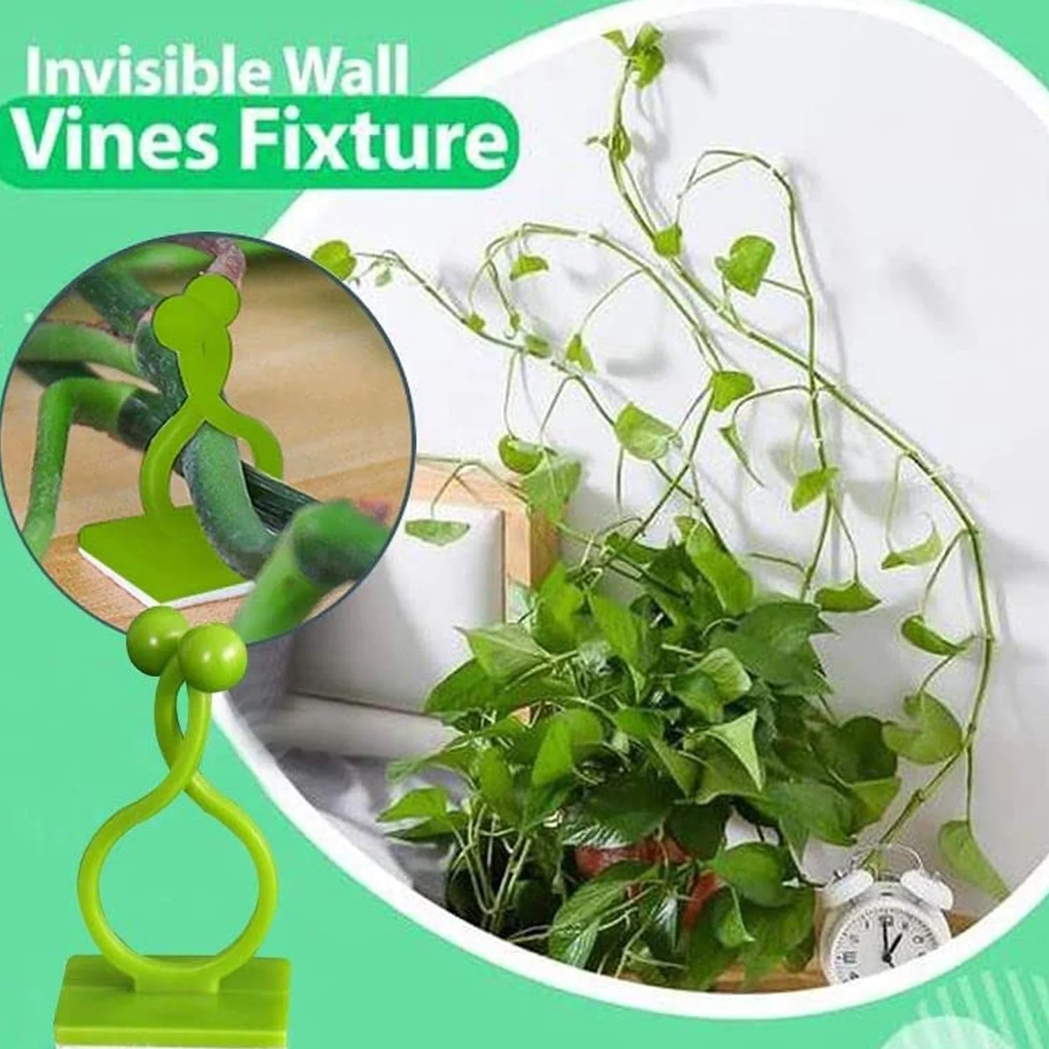 Money Plant Support Clips Vine Plant (10 Pcs Set) - Image 4