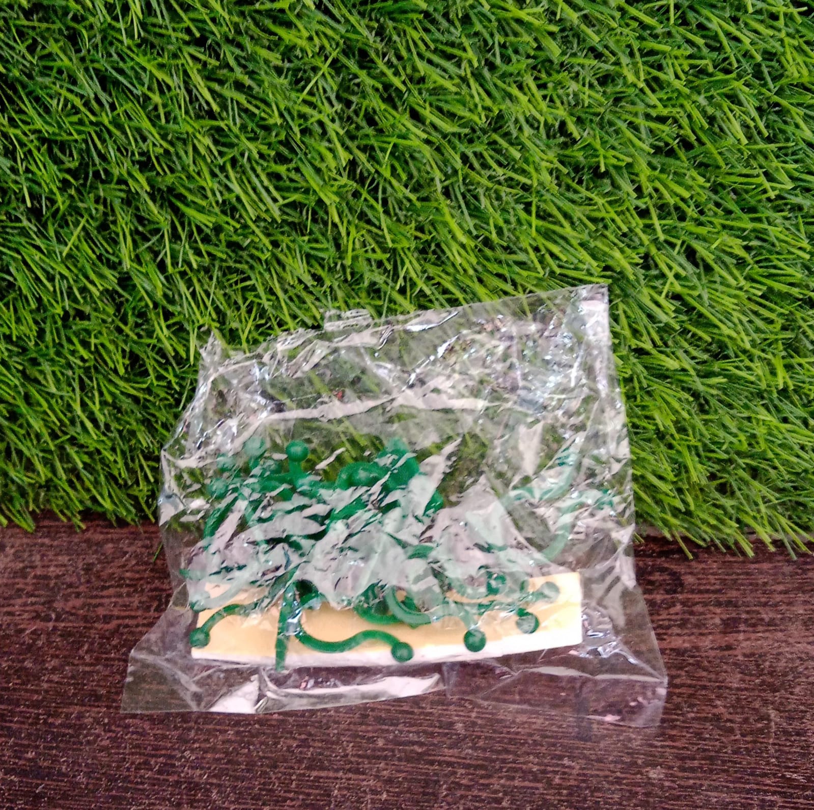 Money Plant Support Clips Vine Plant (10 Pcs Set) - Image 7
