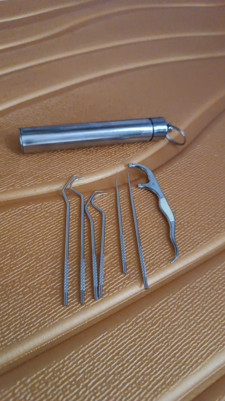 7 IN 1 STAINLESS STEEL TOOTHPICK FLOSSIER SET (1 SET / With Case) - Image 11