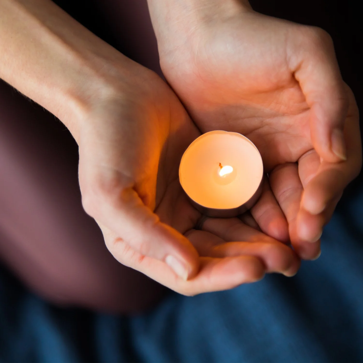 Rose Flower tealight candles (Pack of 10 Pcs.) - Image 5