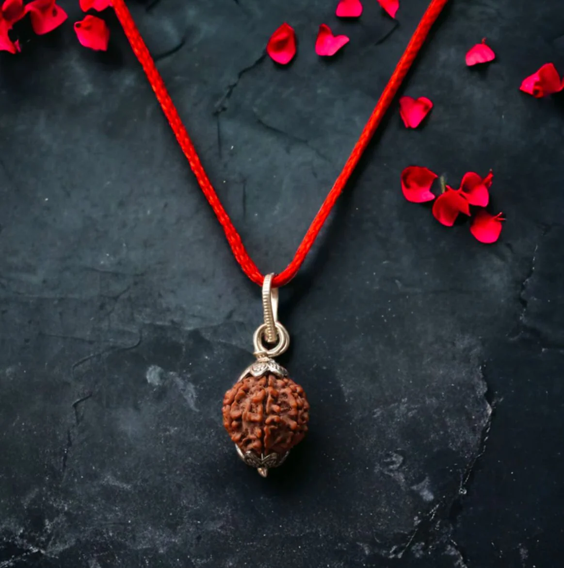 7 Mukhi Rudraksha / Seven Faced Rudraksha (Indonesian) - Image 2