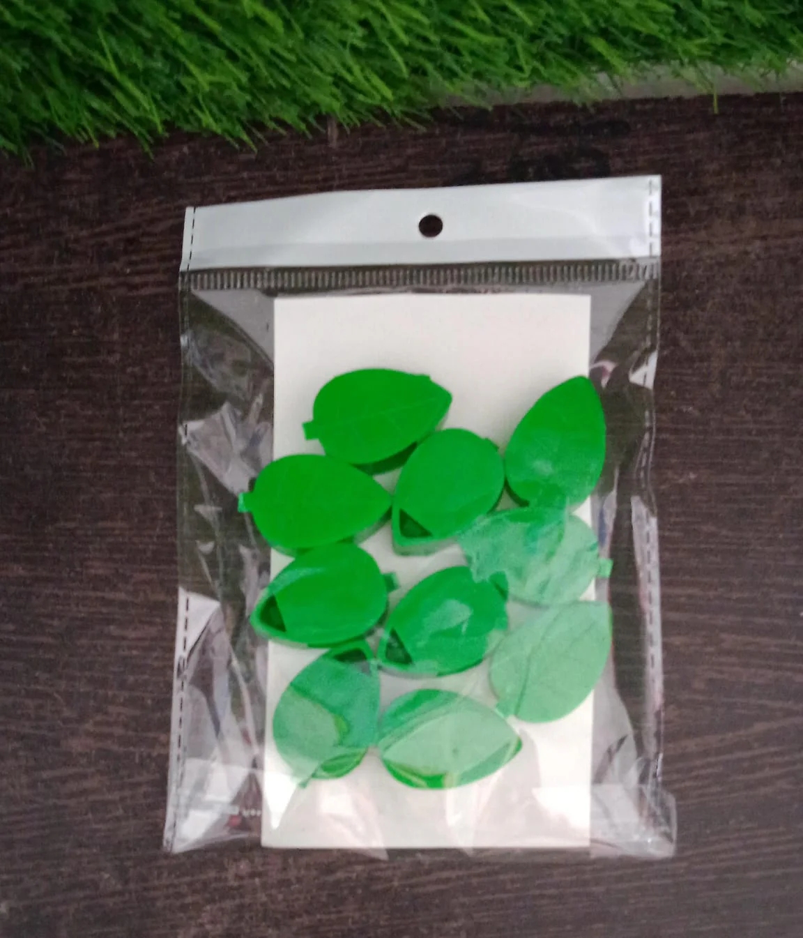 Plant Climbing Wall Clip,Self-Adhesive Vines Support Hooks for Indoor & Outdoor (10 Pcs Set) - Image 8