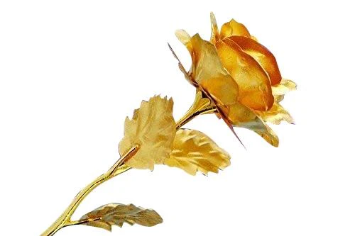 24K Artificial Golden Rose / Gold Red Rose with Gift Box (10 inches) - Image 7