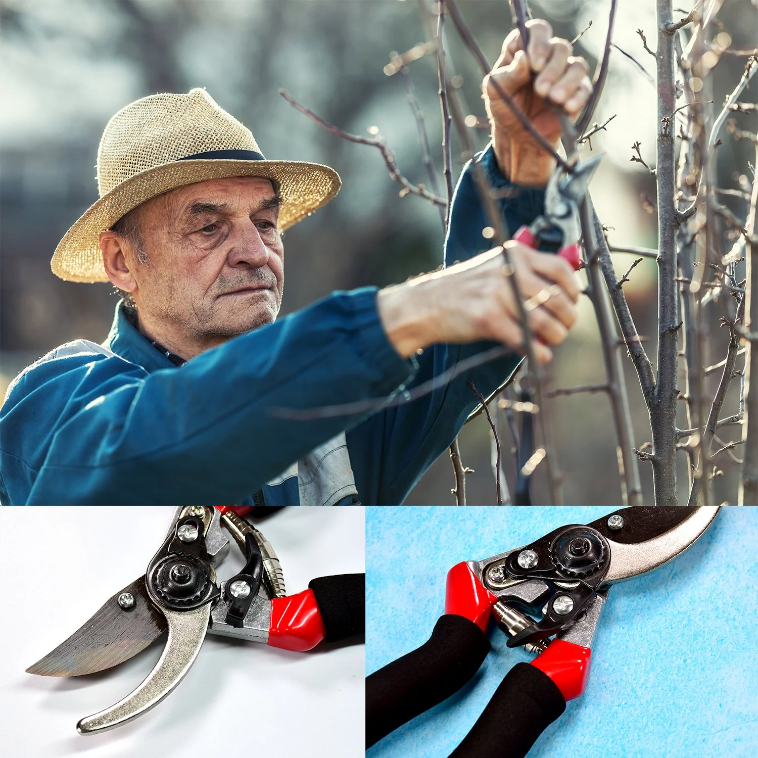 21Cm Red GARDEN SHEARS SHARP CUTTER PRUNERS SCISSOR, PRUNER. - Image 7