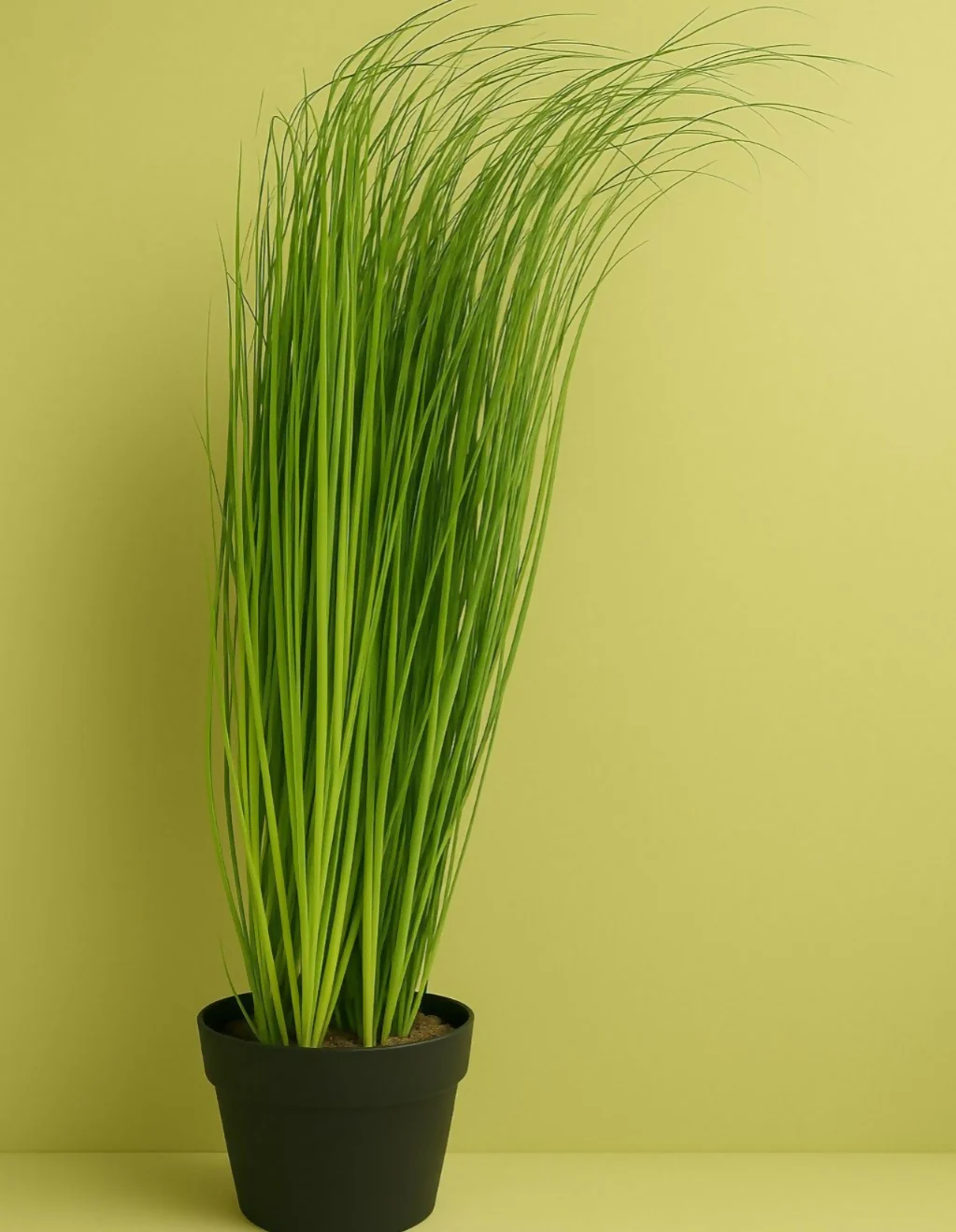 Artificial Decorative Grass Plant in Pot for Home & Office Décor - Image 3