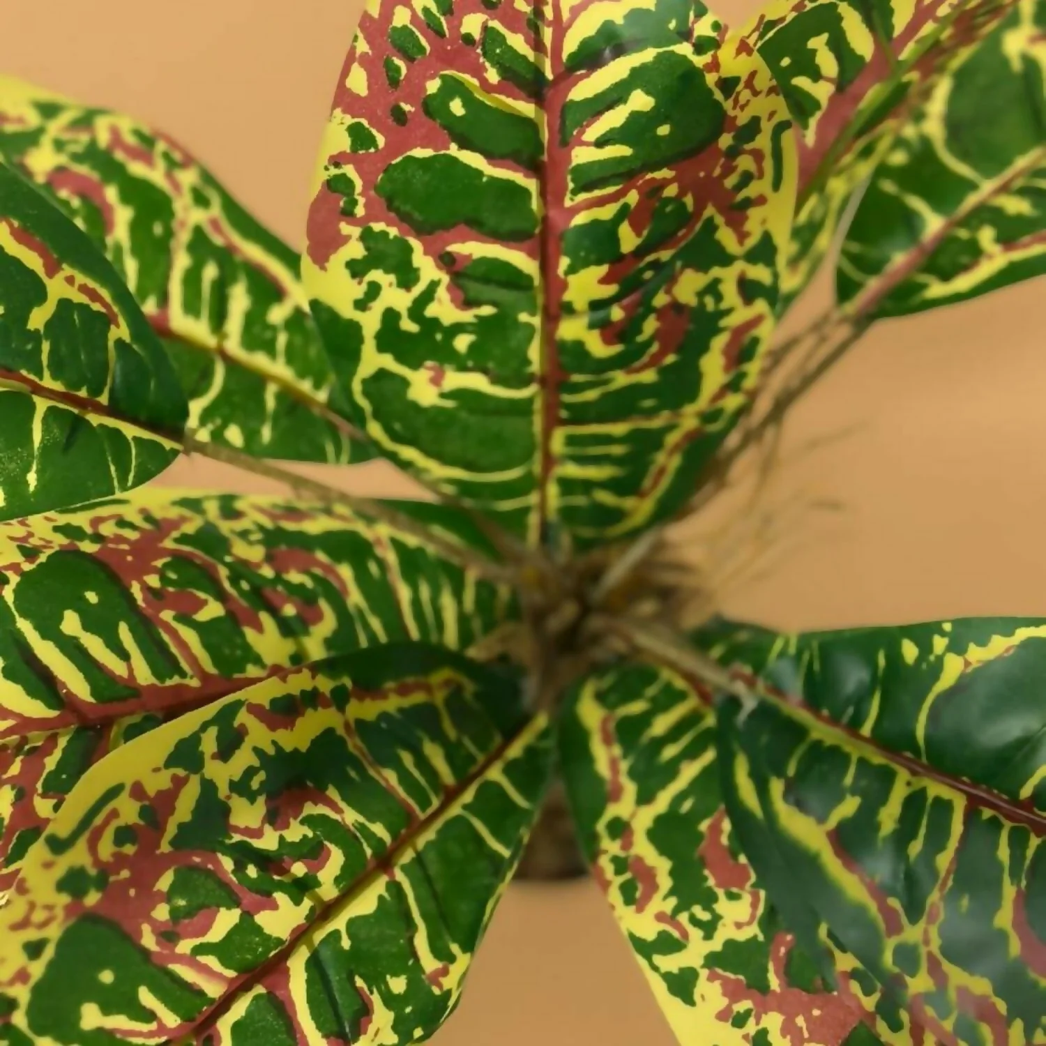 Artificial Decorative Leaf Plant with Pot for Home & Office Table Décor - Image 3