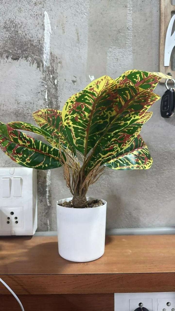 Artificial Decorative Leaf Plant with Pot for Home & Office Table Décor - Image 6