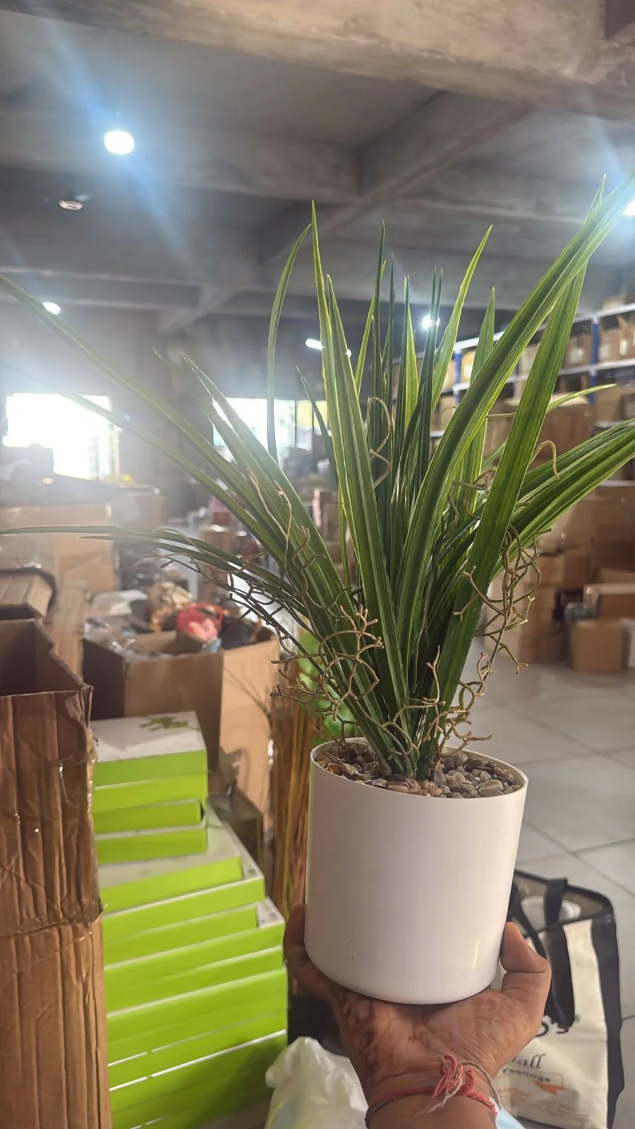 Artificial Indoor Tabletop Plant in Decorative Pot for Home & Office Décor - Image 4