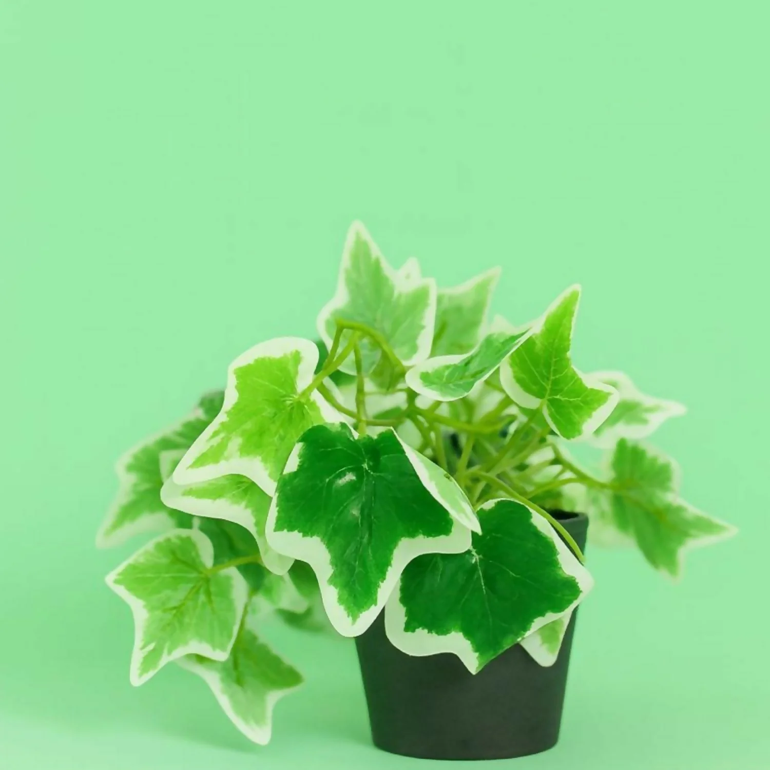 Artificial Ivy Leaf Tabletop Plant with Pot for Home & Office Décor - Image 3