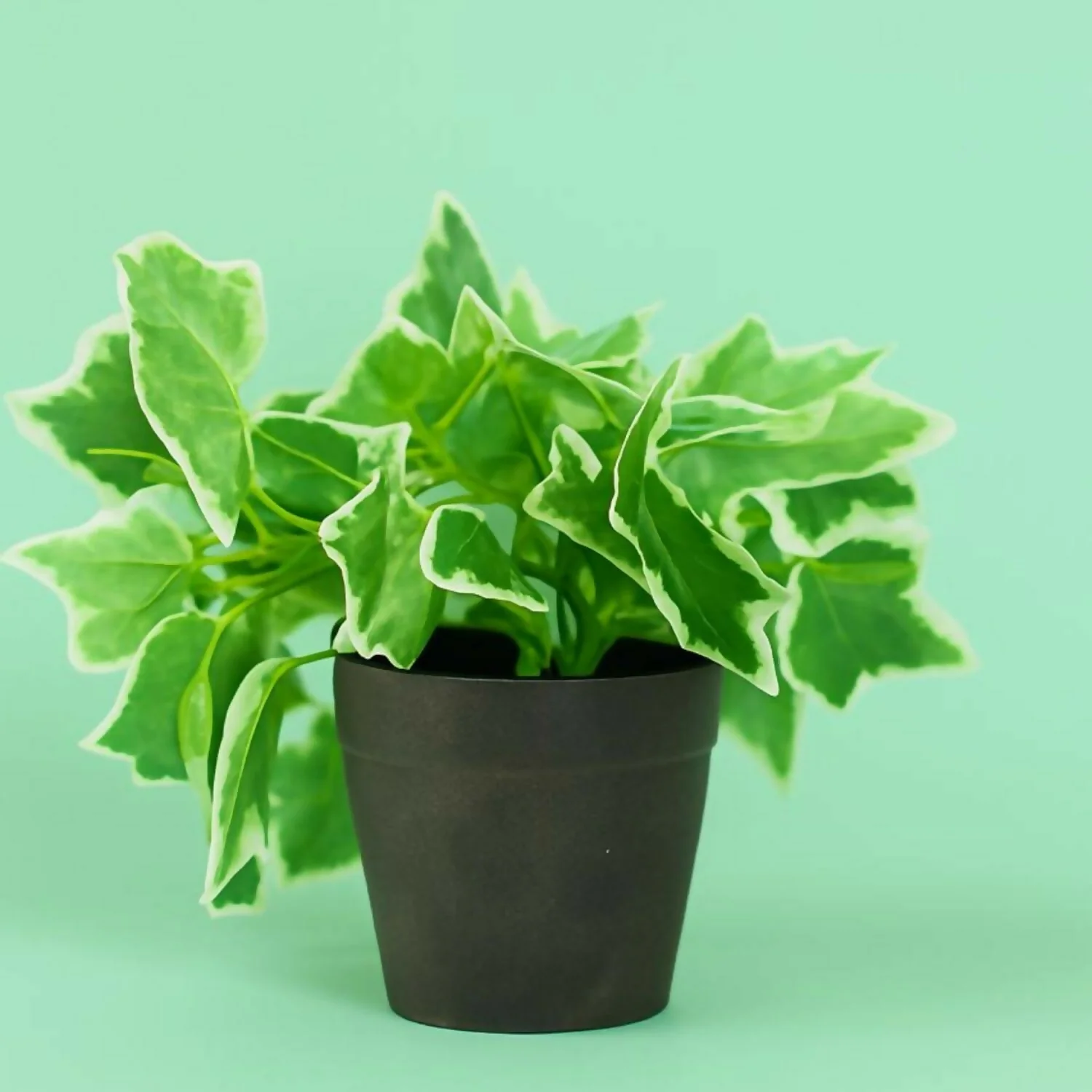 Artificial Ivy Leaf Tabletop Plant with Pot for Home & Office Décor - Image 4