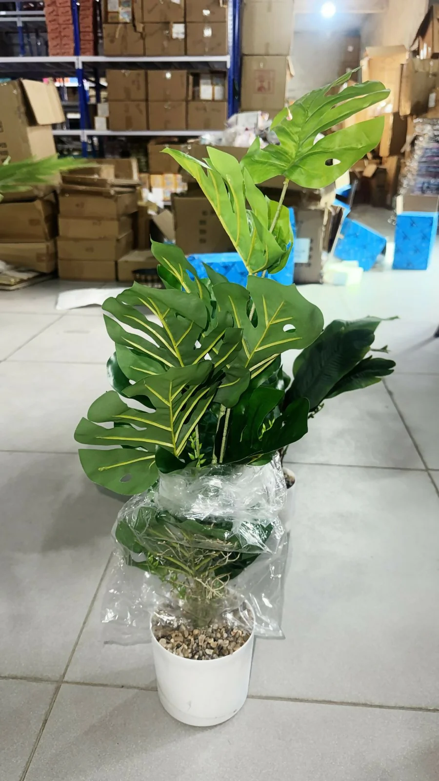 Artificial Monstera Leaf Plant with Pot for Home & Office Table Décor - Image 5