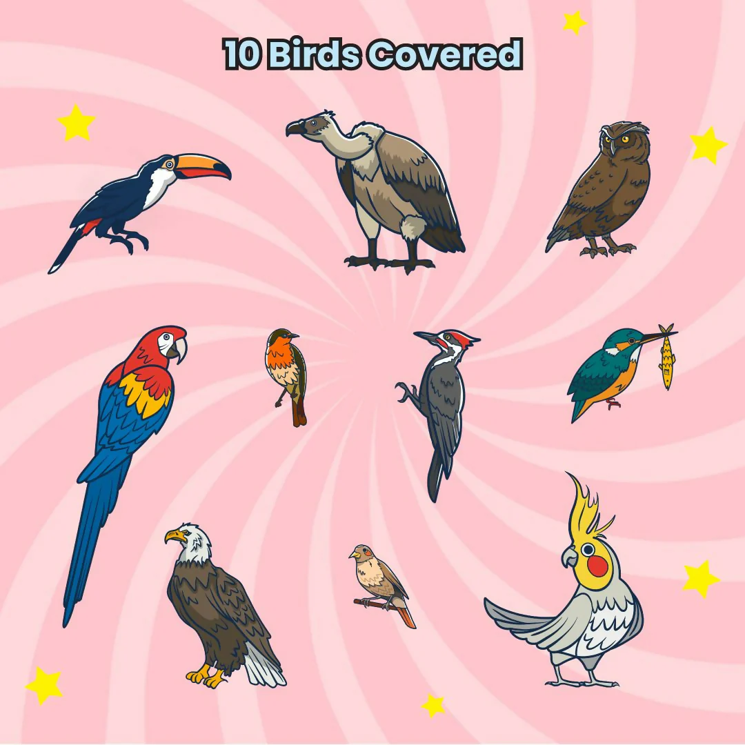BIRD MYSTERY PUZZLE - AGE 3+ (38 PUZZLE PIECES) MDF PUZZLE SERIES - Image 4