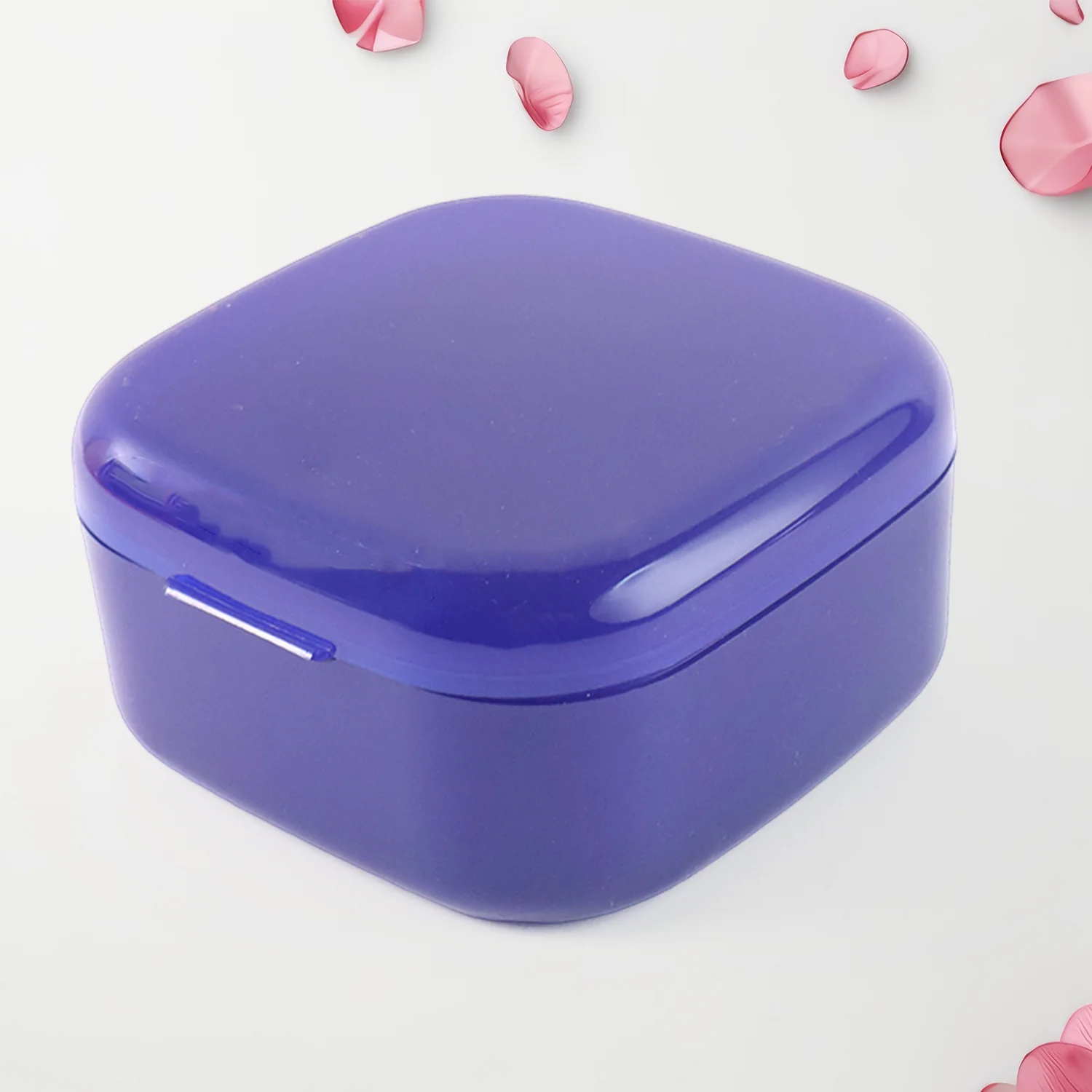 Blue Oblivion Multi-Purpose Storage Box with Lid, DENTURE CASE (1 Pc) - Image 5