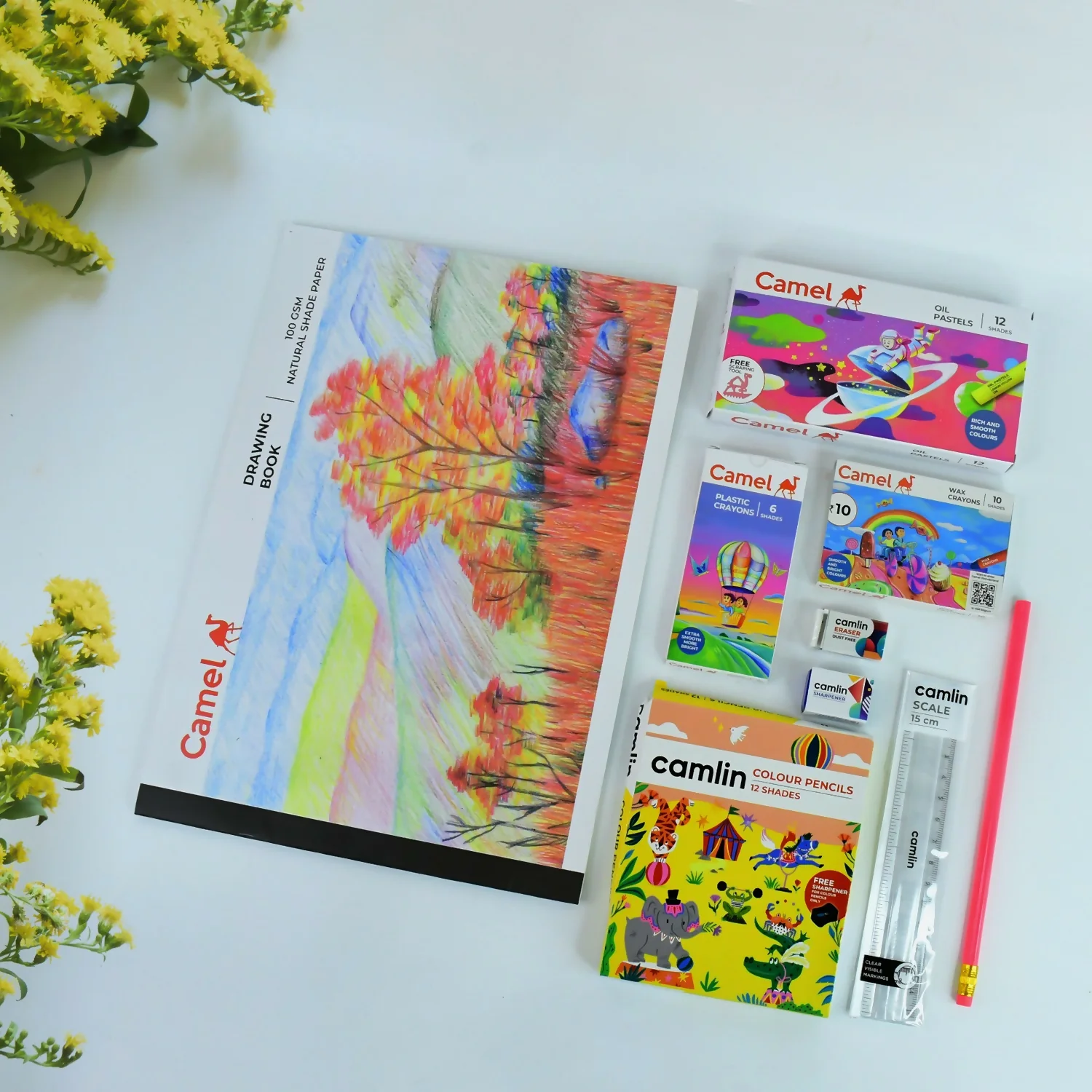 Camel Drawing Kit – Complete Creative Set for Young Artists - Image 2