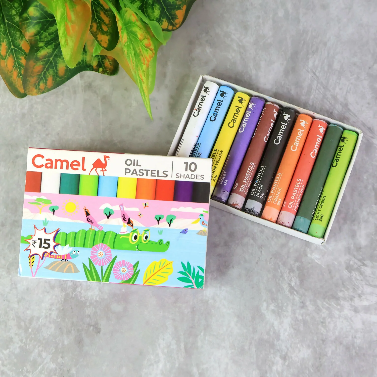 Camel Oil Pastels – 10 Assorted Shades (Compact Colouring Set for Kids & Students) - Image 3