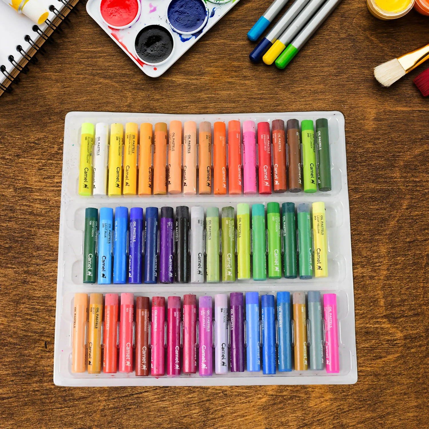 Camel Oil Pastels 50 Assorted Shades with Free Scraping Tool - Image 5