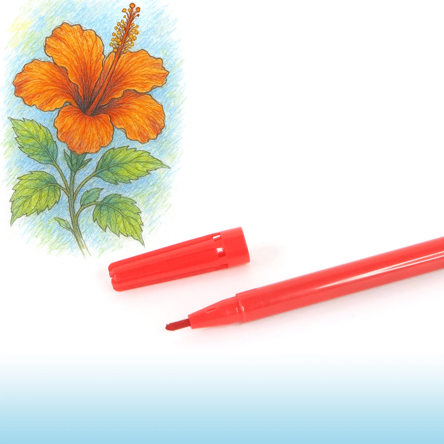 Camel Sketch Pens color with stantil alphabet – 24 Shades - Image 7